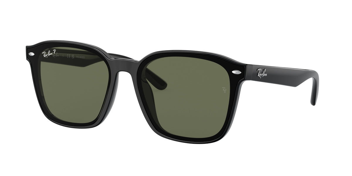 Ray-Ban RB4392D 601/9A POLARIZED