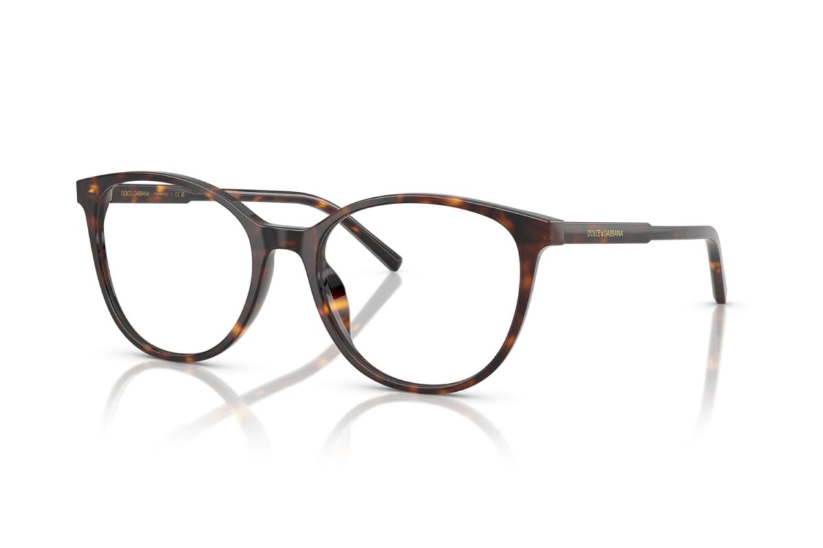 Dolce & Gabbana DG3425 502