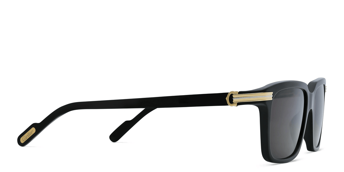 CARTIER CT0220S 001