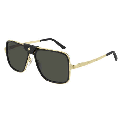 CARTIER CT0263SA 001 POLARIZED