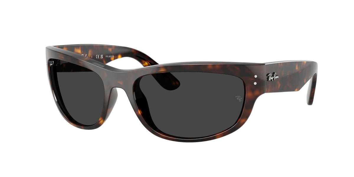 Ray-Ban RB2289 MEGA BALORAMA 902/48 POLARIZED