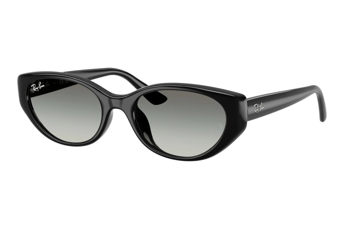 RAY-BAN RB 4457D 667711