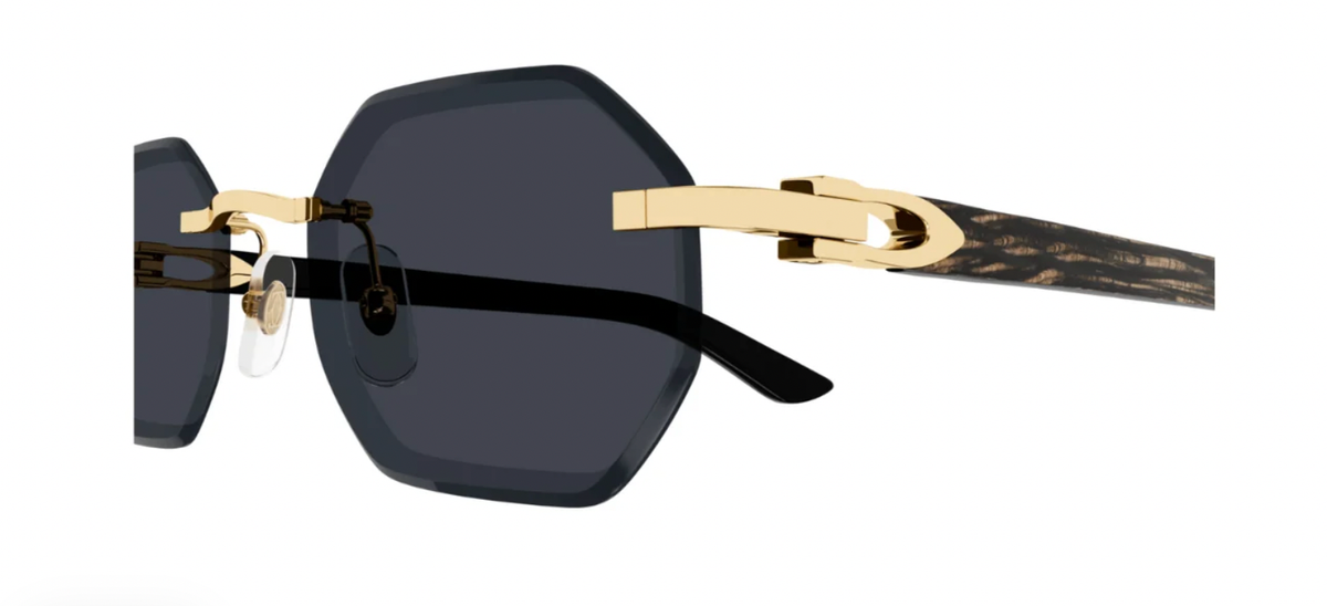 CARTIER CT0439S 001