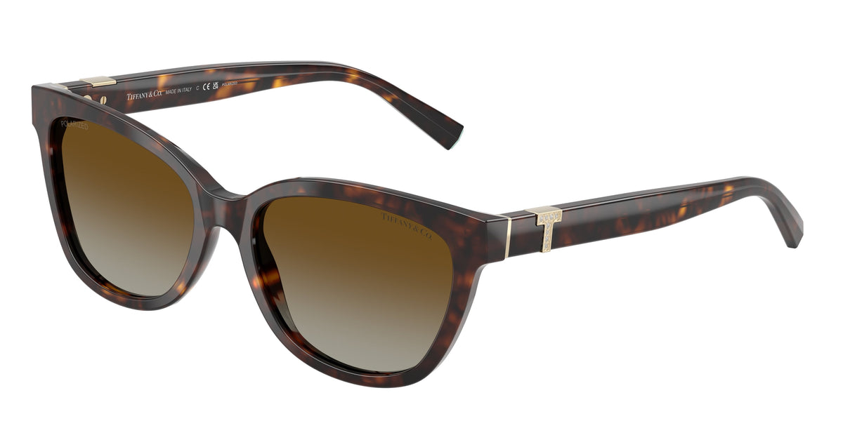 Tiffany & Co. TF4237B 8015T5 POLARIZED