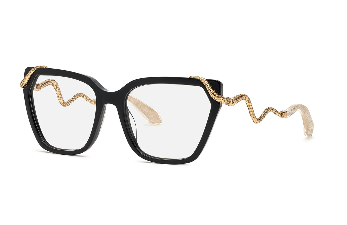 Roberto Cavalli RC02M 0700