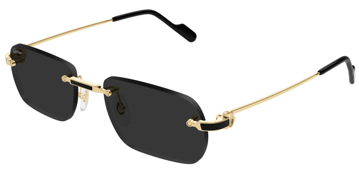 CARTIER CT0498S 001