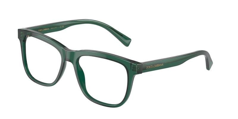 DOLCE & GABBANA DX 3356 3008
