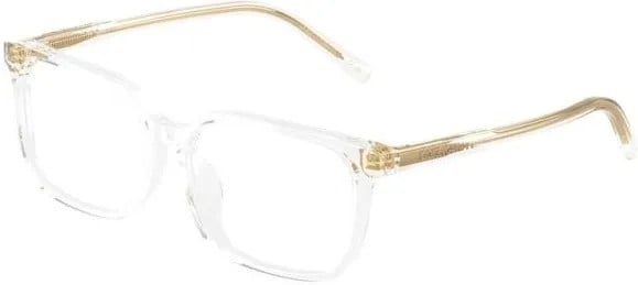 DOLCE & GABBANA DX 3003 3133