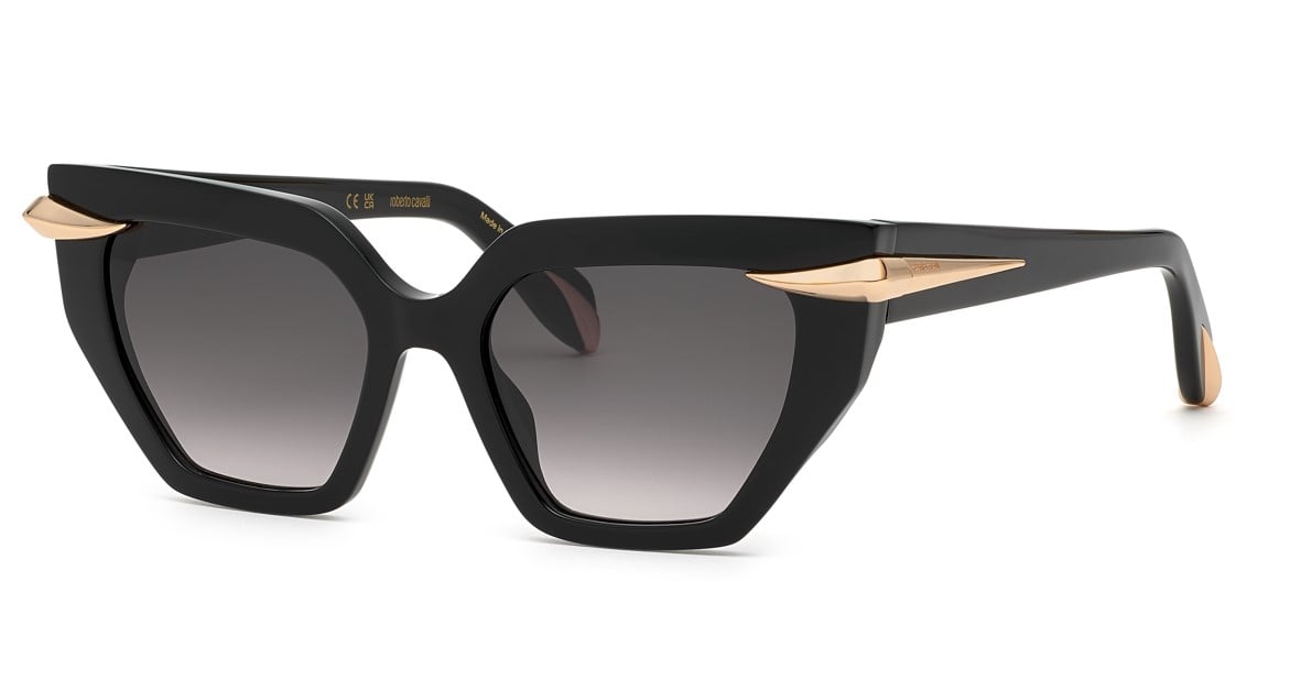 Roberto Cavalli RC001M 0700
