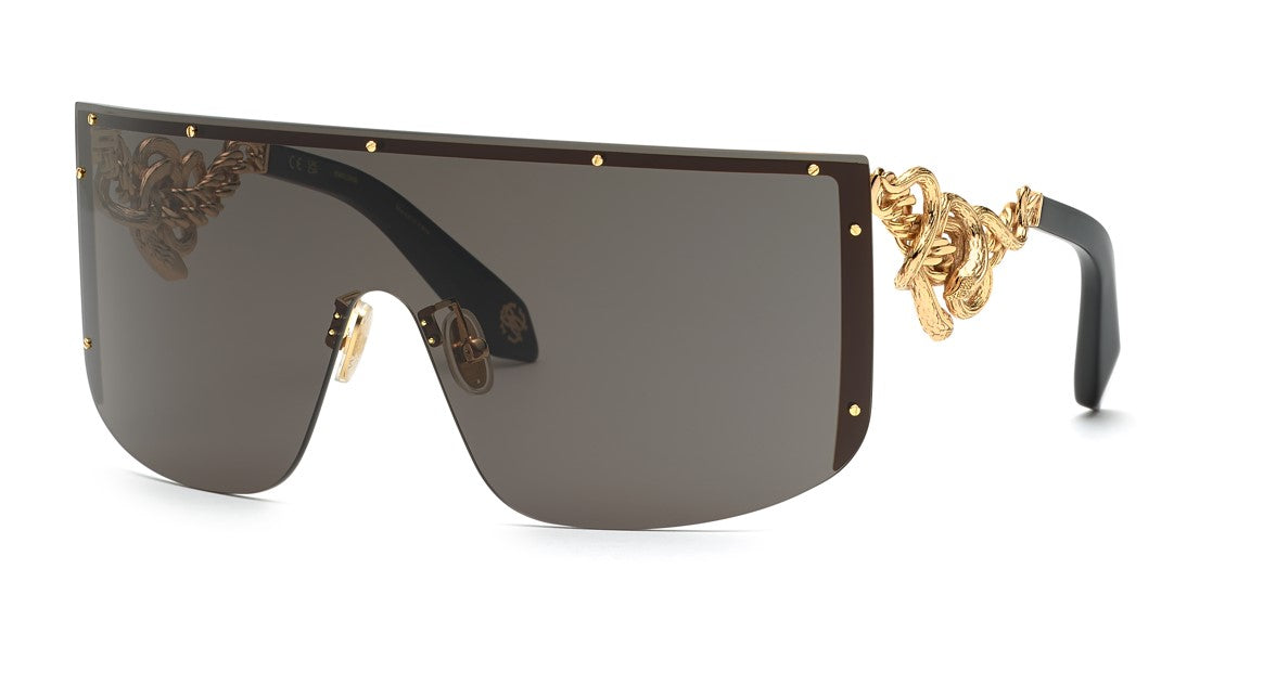 Roberto Cavalli RC015M 0300