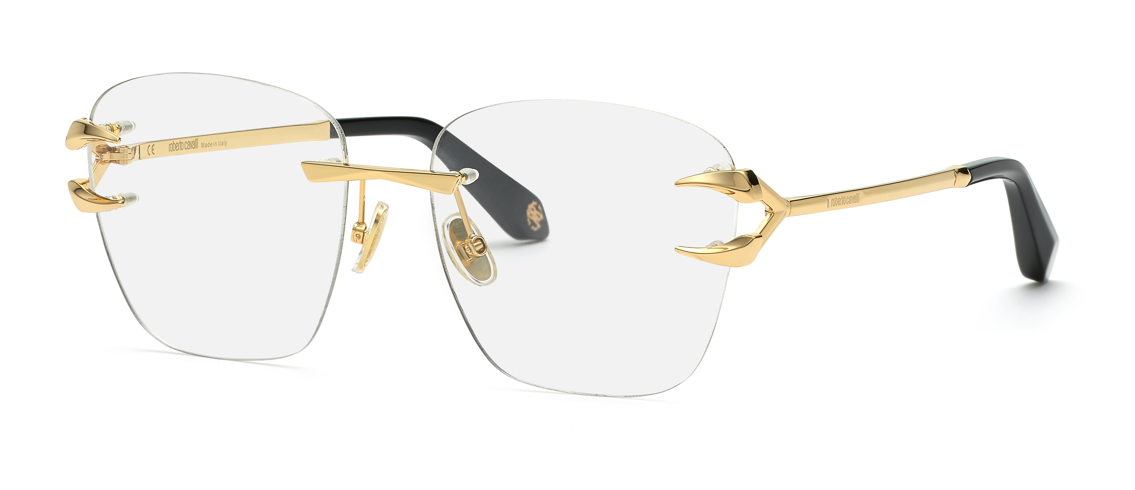 Roberto Cavalli RC022 0300