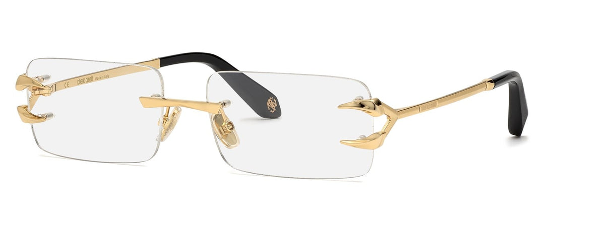 Roberto Cavalli RC023 0300