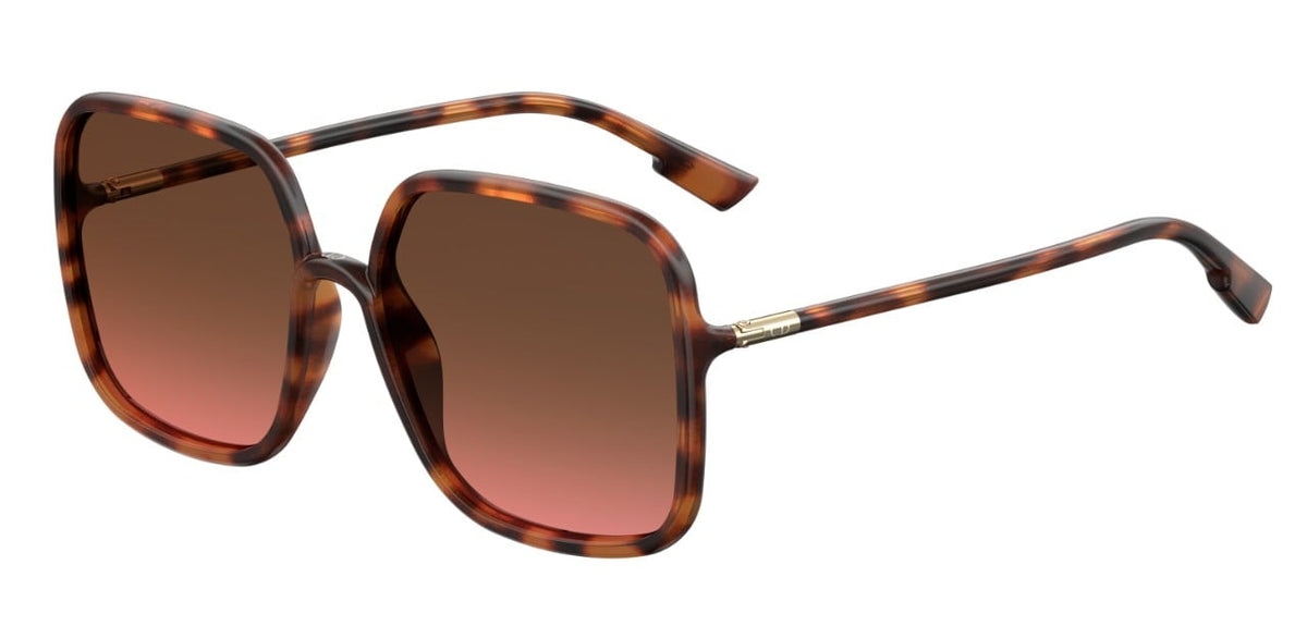 DIOR SOSTELLAIRE1 086