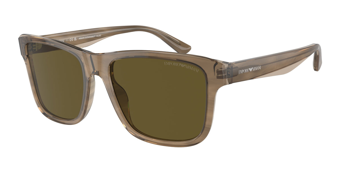 EMPORIO ARMANI EA 4208 605573