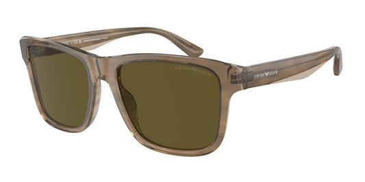 EMPORIO ARMANI EA 4208 605573