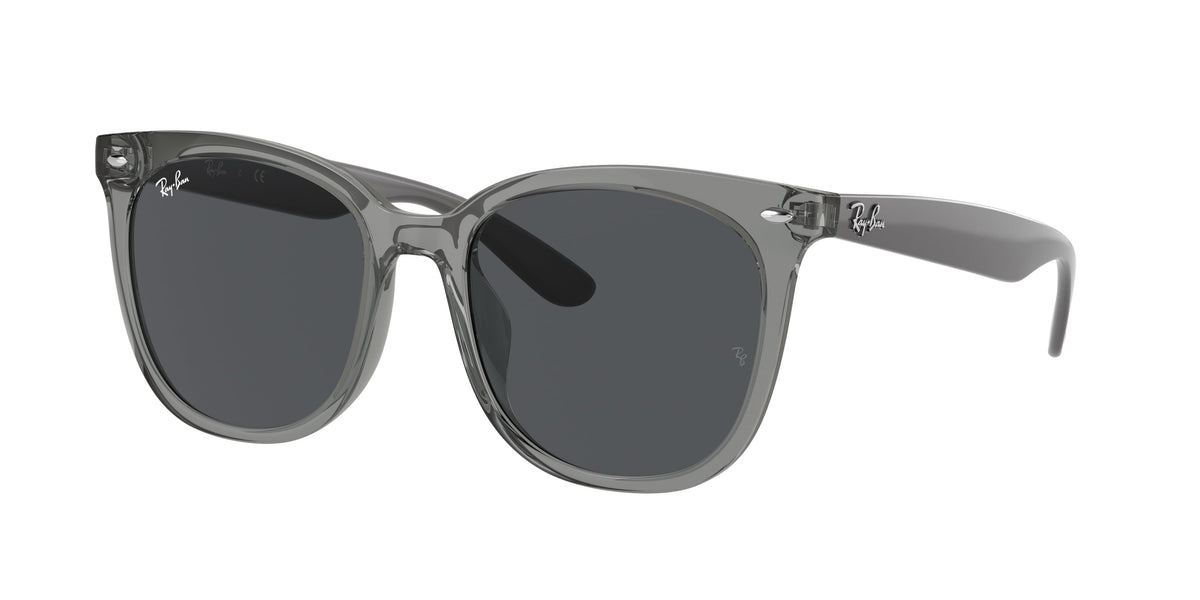 Ray-Ban RB4379D 659987