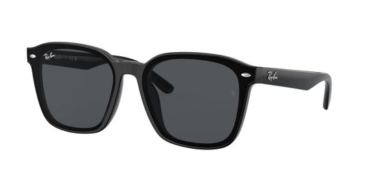 Ray-Ban RB4392D 601/87