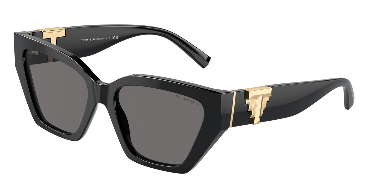 Tiffany & Co. TF4218 800181 POLARIZED
