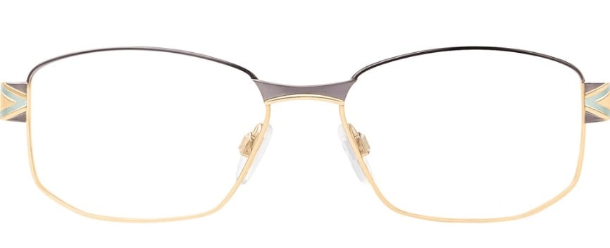 CAZAL 1251 001