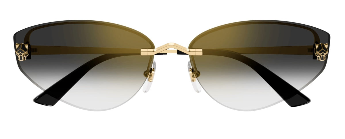 CARTIER CT0431S 001