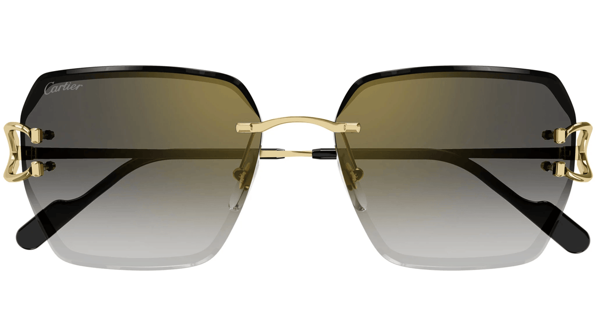 CARTIER CT0466S 001