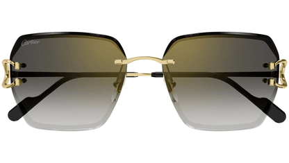 CARTIER CT0466S 001