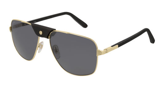 CARTIER CT0097S 001