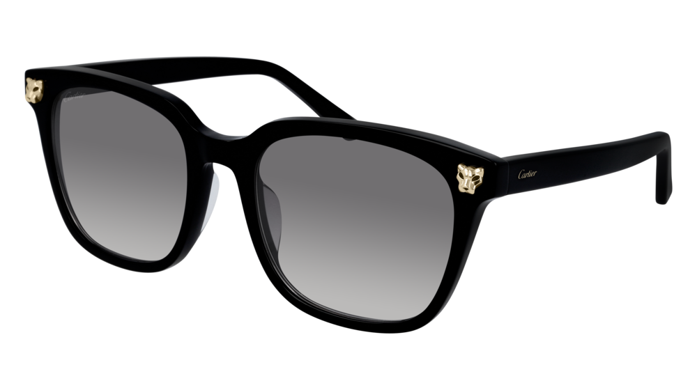 CARTIER CT0143SA 001