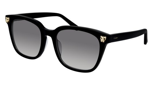 CARTIER CT0143SA 001