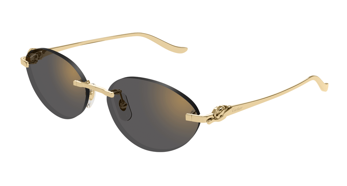 CARTIER CT0504S 001