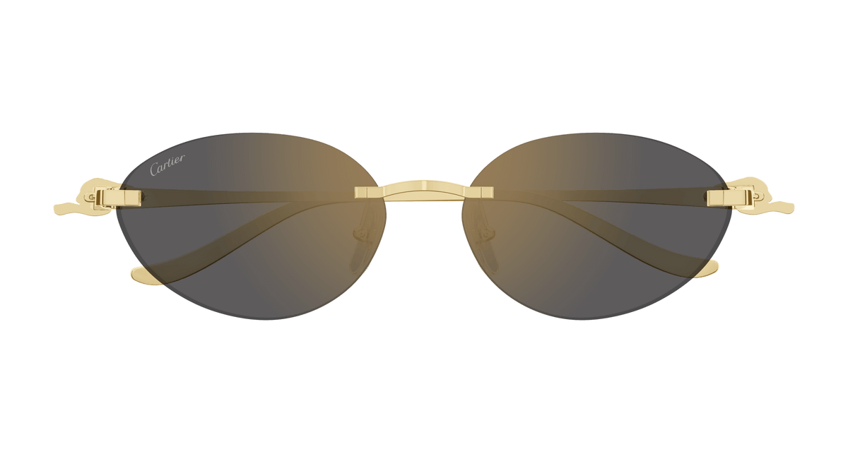 CARTIER CT0504S 001
