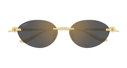 CARTIER CT0504S 001
