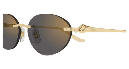 CARTIER CT0504S 001