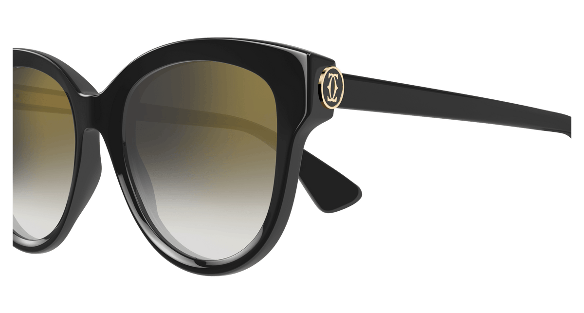 CARTIER CT0506S 001
