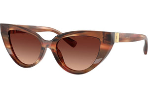 Dolce & Gabbana DG4497 322113