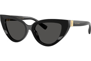 Dolce & Gabbana DG4497 501/87