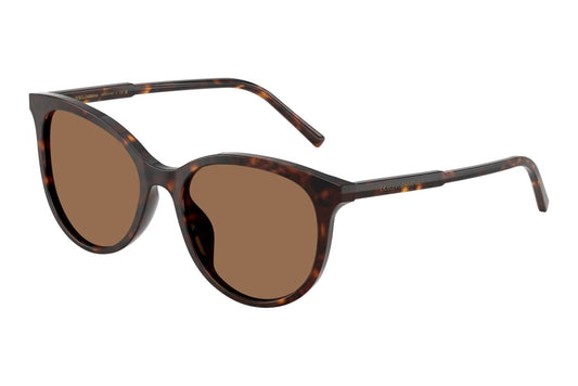 DOLCE & GABBANA DG 4540 502/13