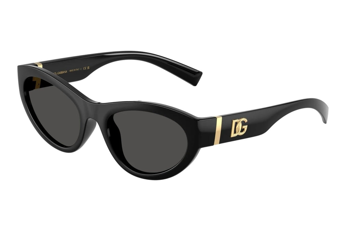 DOLCE & GABBANA DG 6207 501/87