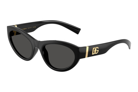 DOLCE & GABBANA DG 6207 501/87