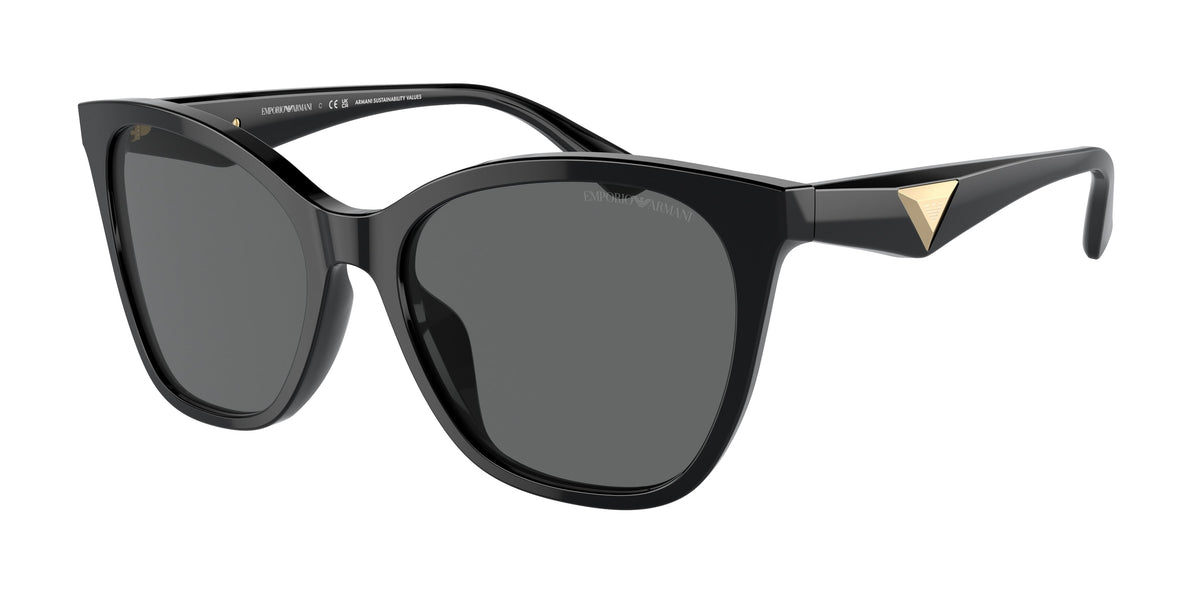 EMPORIO ARMANI EA4222U 501787