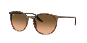 Ray-Ban RB2204 13953B