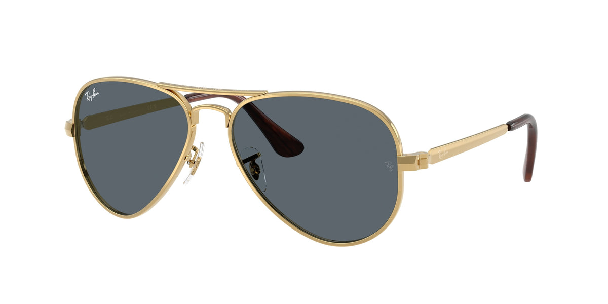 Ray-Ban RB3925 AVIATOR MAX 001/R5
