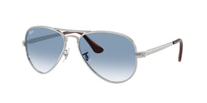 Ray-Ban RB3925 AVIATOR MAX 003/3F
