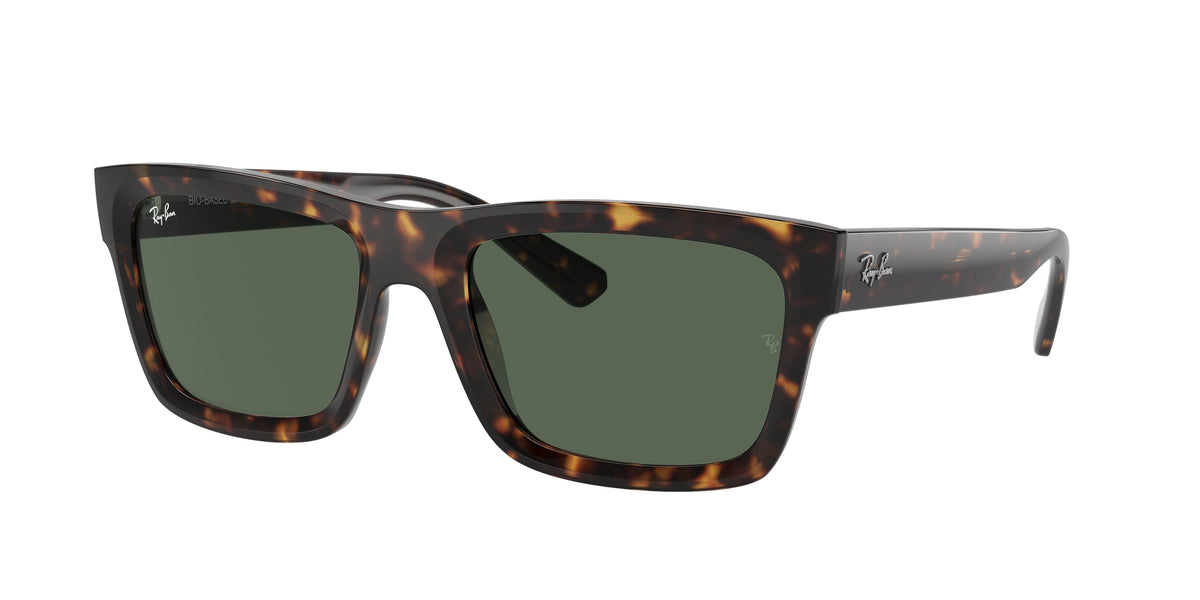 Ray-Ban RB4396 WARREN 135971
