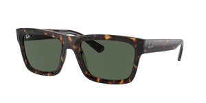 Ray-Ban RB4396 WARREN 135971