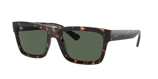 Ray-Ban RB4396 WARREN 135971
