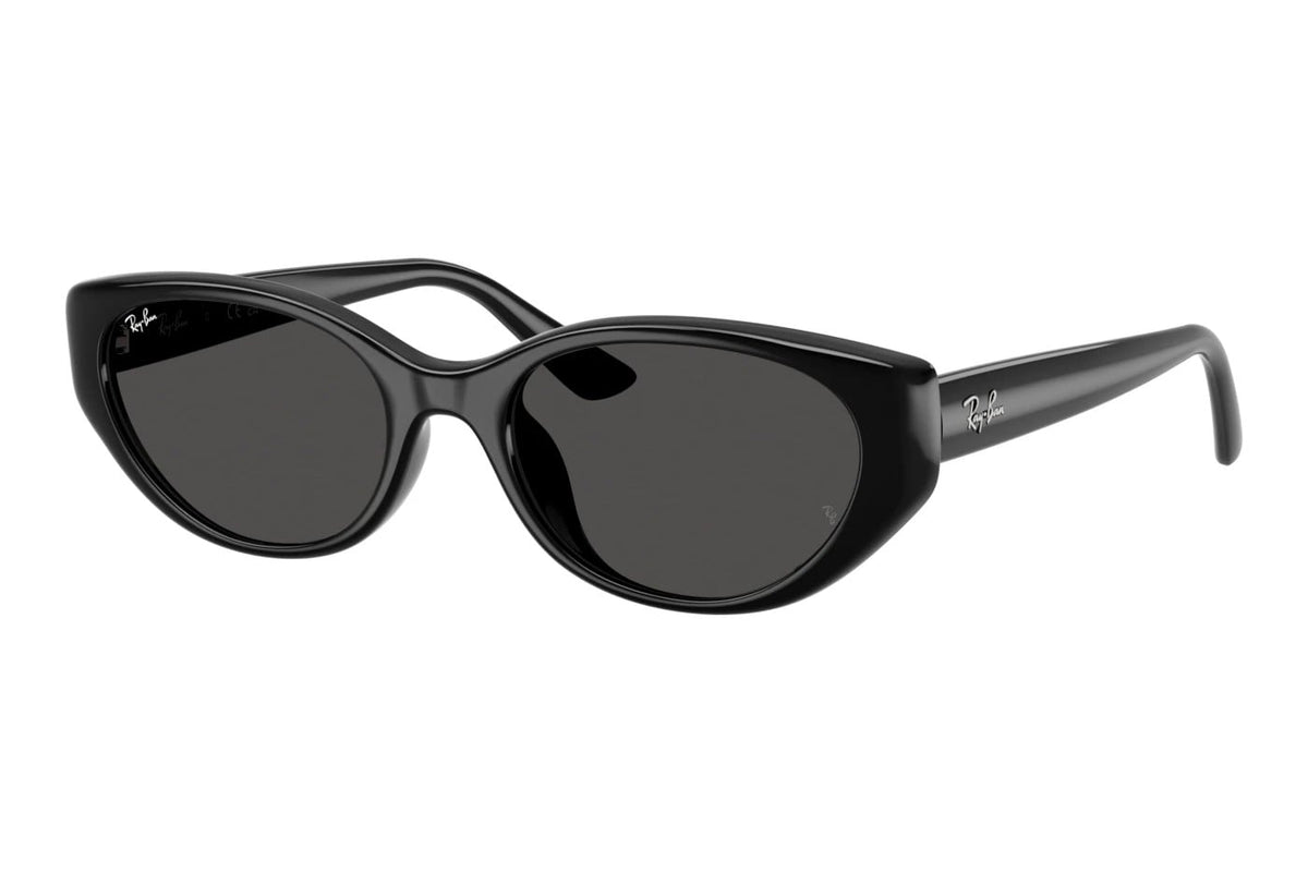 RAY-BAN RB 4457D 667787