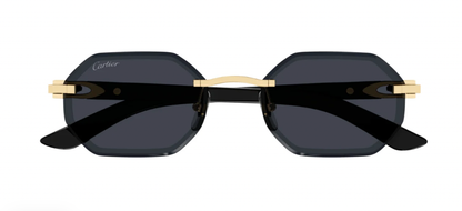 CARTIER CT0439S 001