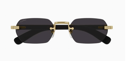CARTIER CT0362S 001
