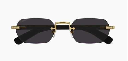 CARTIER CT0362S 001